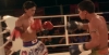 BeautifulBoxer (16)